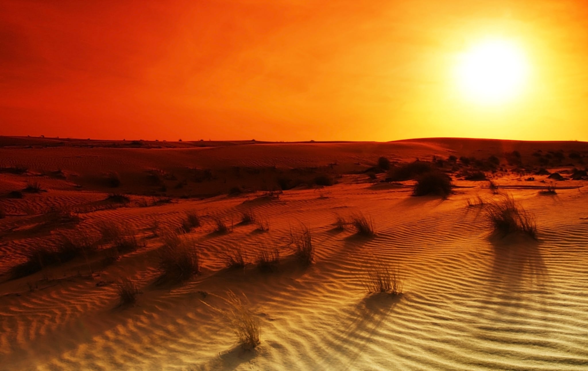 جمعية الإمارات للفلك: موسم الثريا يبدأ 7 يونيو المقبل