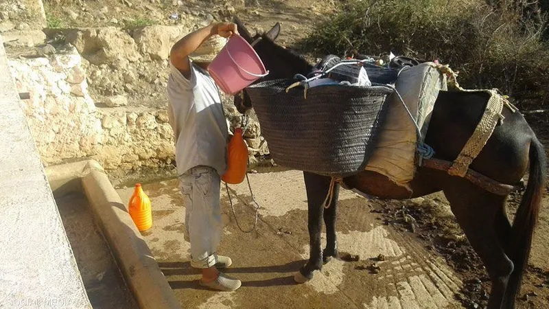 أزمة المياه في المغرب.. دعوات لحلول عاجلة￼