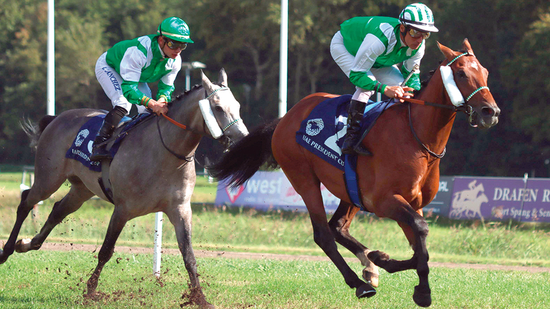 «جارف» بطل كأس رئيس الدولة للخيول العربية