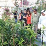 مزارع المواطنين .. مشاريع استثمارية رائدة ووجهات سياحية مستدامة