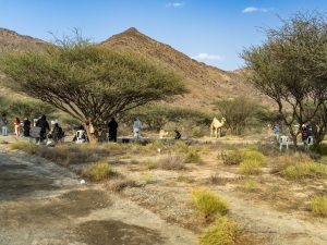 برعاية محمد الشرقي.. الفجيرة تستضيف إقامة فنيّة لتدريب 20 فناناً إماراتياً